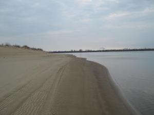 IMG_4213.JPG