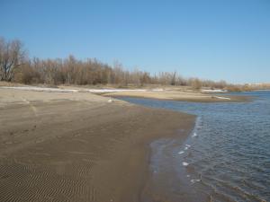 IMG_4060.JPG