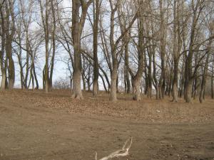 IMG_4153.JPG