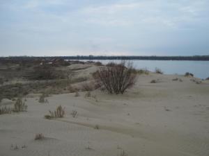 IMG_4217.JPG