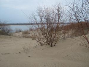 IMG_4208.JPG