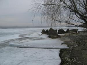 IMG_4011.JPG