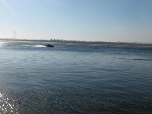 IMG_4104.JPG