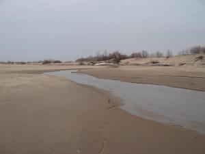 IMG_4167.JPG