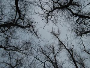 IMG_4048.JPG