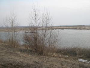 IMG_4162.JPG