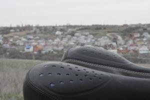 DSC_1485.jpg