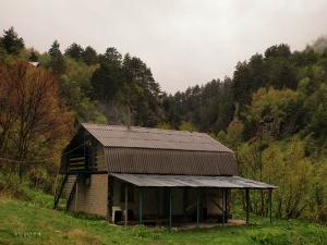 100521_221 copy.jpg