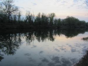 IMG_0034.jpg