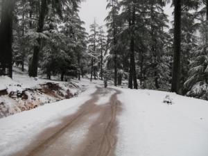 IMG_0165.JPG