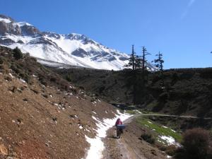 IMG_3702.JPG