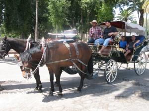 IMG_0359.JPG