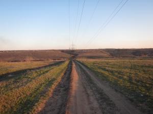 IMG_1366.jpg