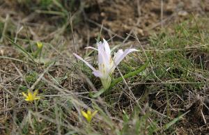 image035.jpg