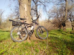 IMG_20150426_074623.jpg
