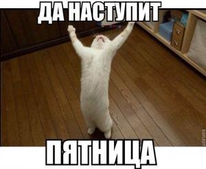 1264335b3ab9.jpg