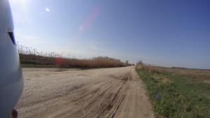 DSC00175.JPG