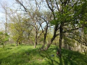 20160424_163027.jpg