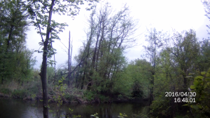 vlcsnap-2016-04-30-21h29m23s189.png