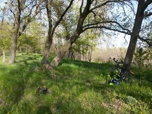 20160424_162935.jpg