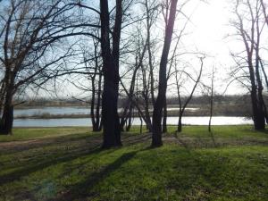 DSCN2383.JPG