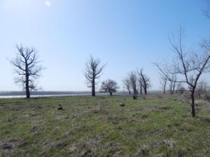 DSCN2354.JPG
