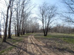 DSCN2377.JPG