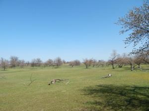 DSCN2343.JPG