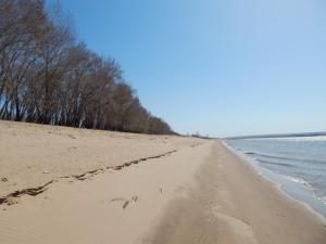 DSCN2335.JPG