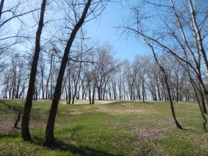DSCN2338.JPG