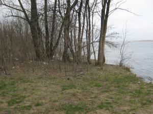 IMG_3293.JPG