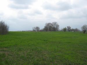 IMG_3286.JPG