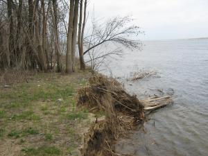 IMG_3295.JPG