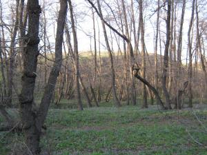 IMG_3268.JPG