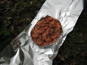 IMG_3336.JPG