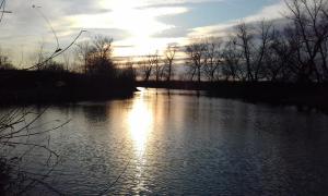 20170402_224118.jpg