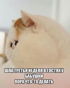 Шла третья неделя.jpg