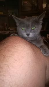 IMG-20161017-WA0008.jpg