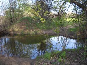 CIMG8422 Брод Морозкино.JPG