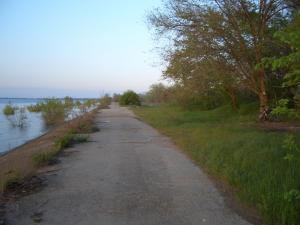CIMG8577.JPG