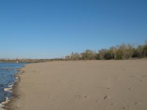 IMG_4401.JPG