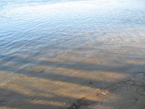 IMG_4325.JPG