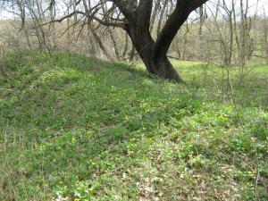 IMG_4344.JPG