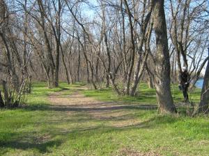 IMG_4323.JPG