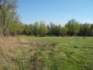 IMG_4391.JPG