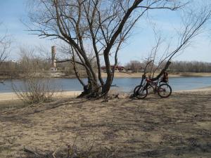 IMG_4281.JPG