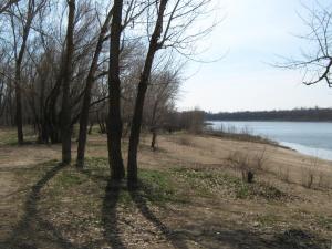 IMG_4256.JPG