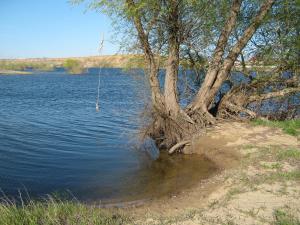 IMG_4414.JPG