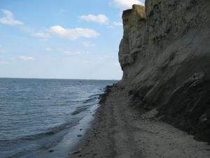 IMG_4361.JPG