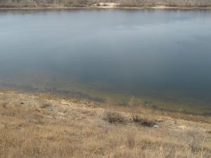 IMG_4253.JPG